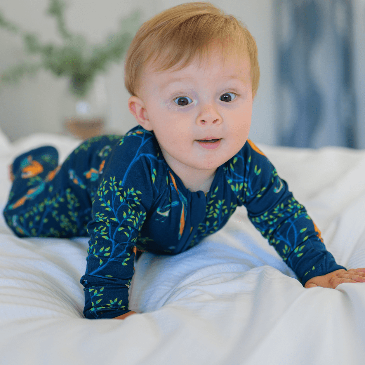 ZIPSTER™ Parrot - Zipster