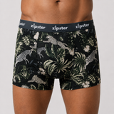 Caleçon homme Zebra