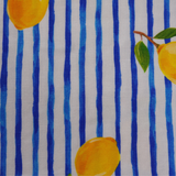 Pánske boxerky Mediterranean Lemons